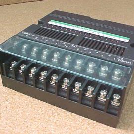 Input Module (16 In Source)